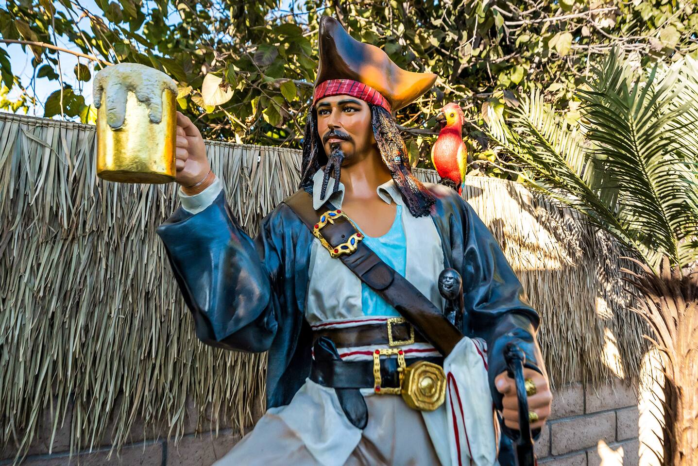 Captain Jack Sparrow!