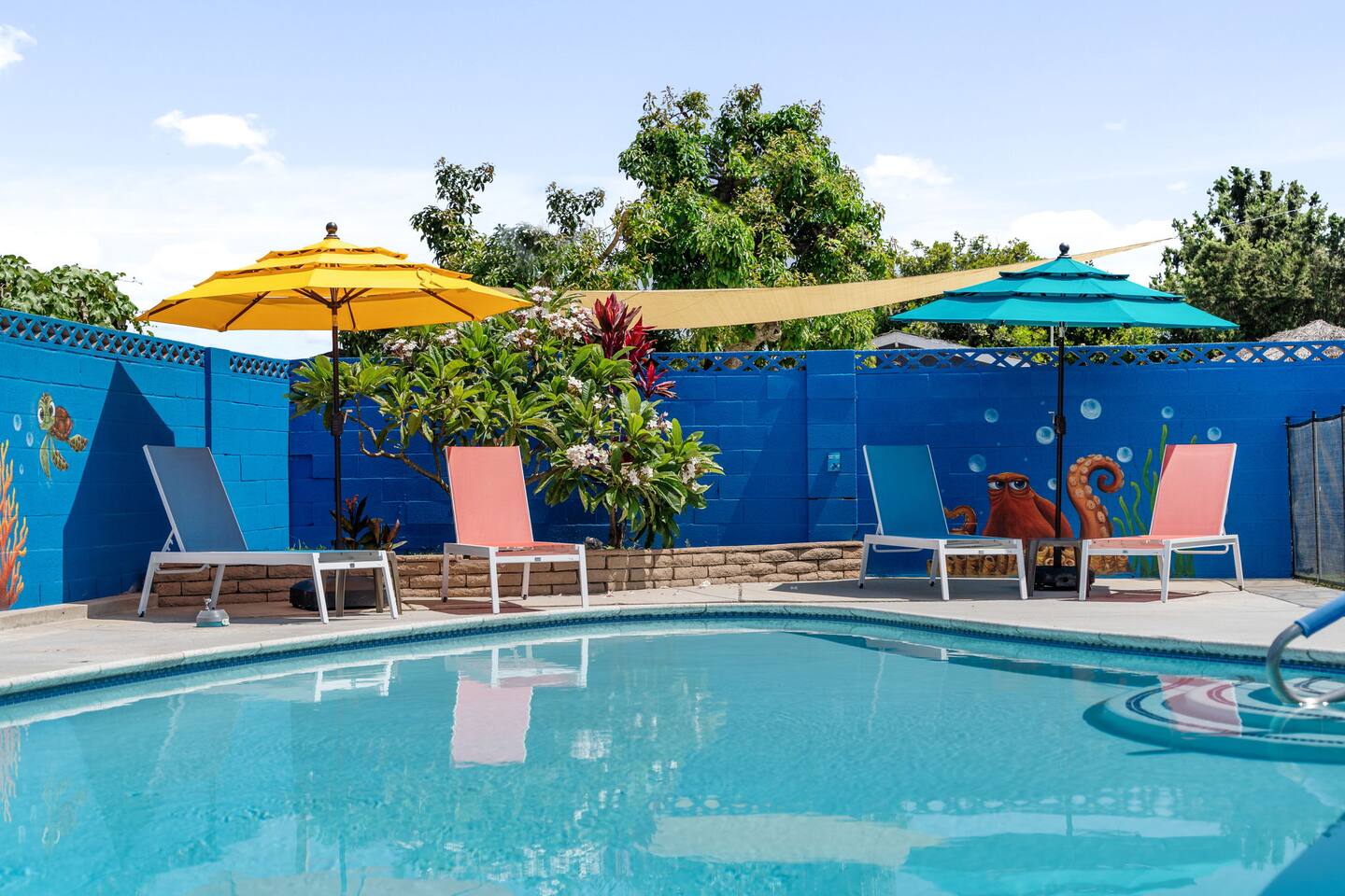 Finding Nemo Pool & Backyard