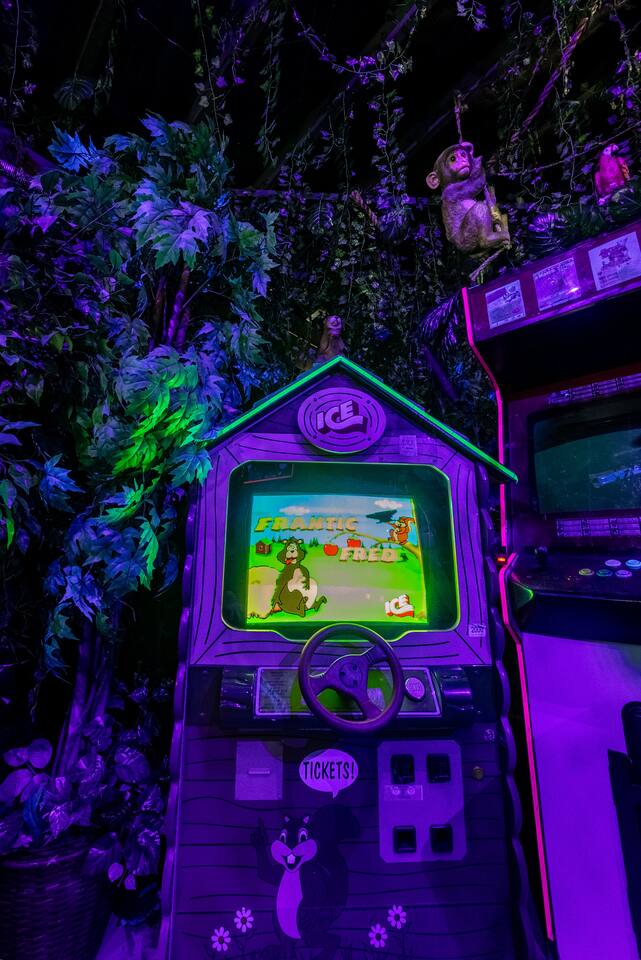 Arcade game surrounded by leaves and a hanging monkey!