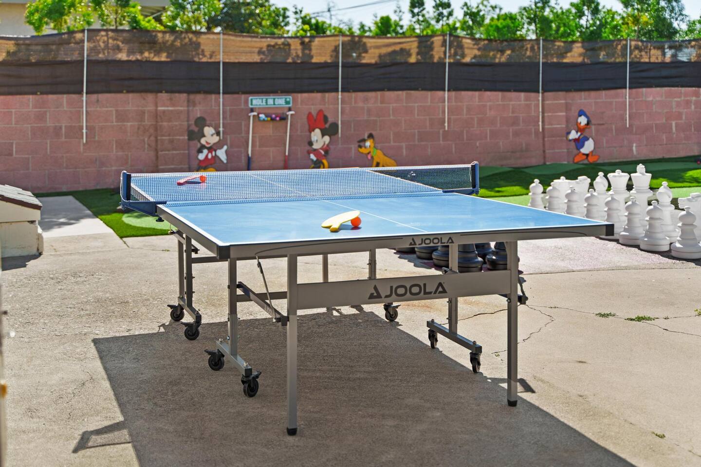 Ping Pong table!