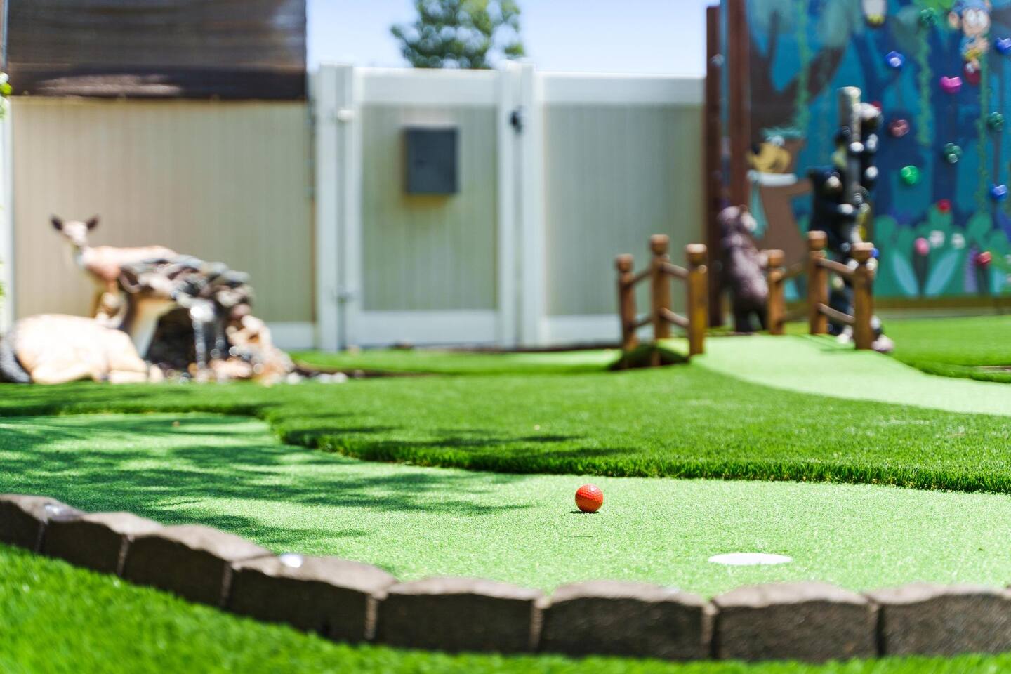 Hole in one!