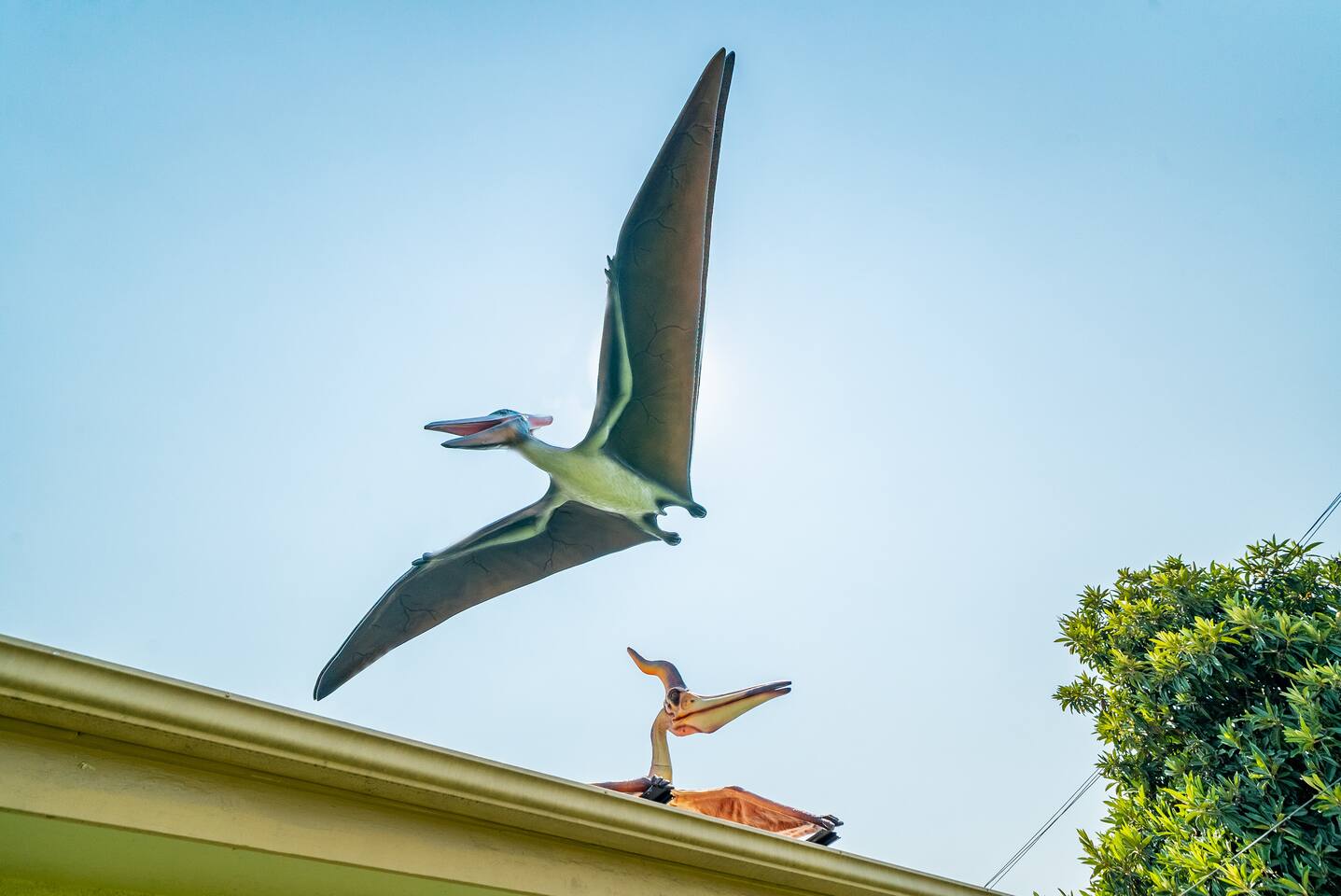 A couple pteranodons watching over the backyard