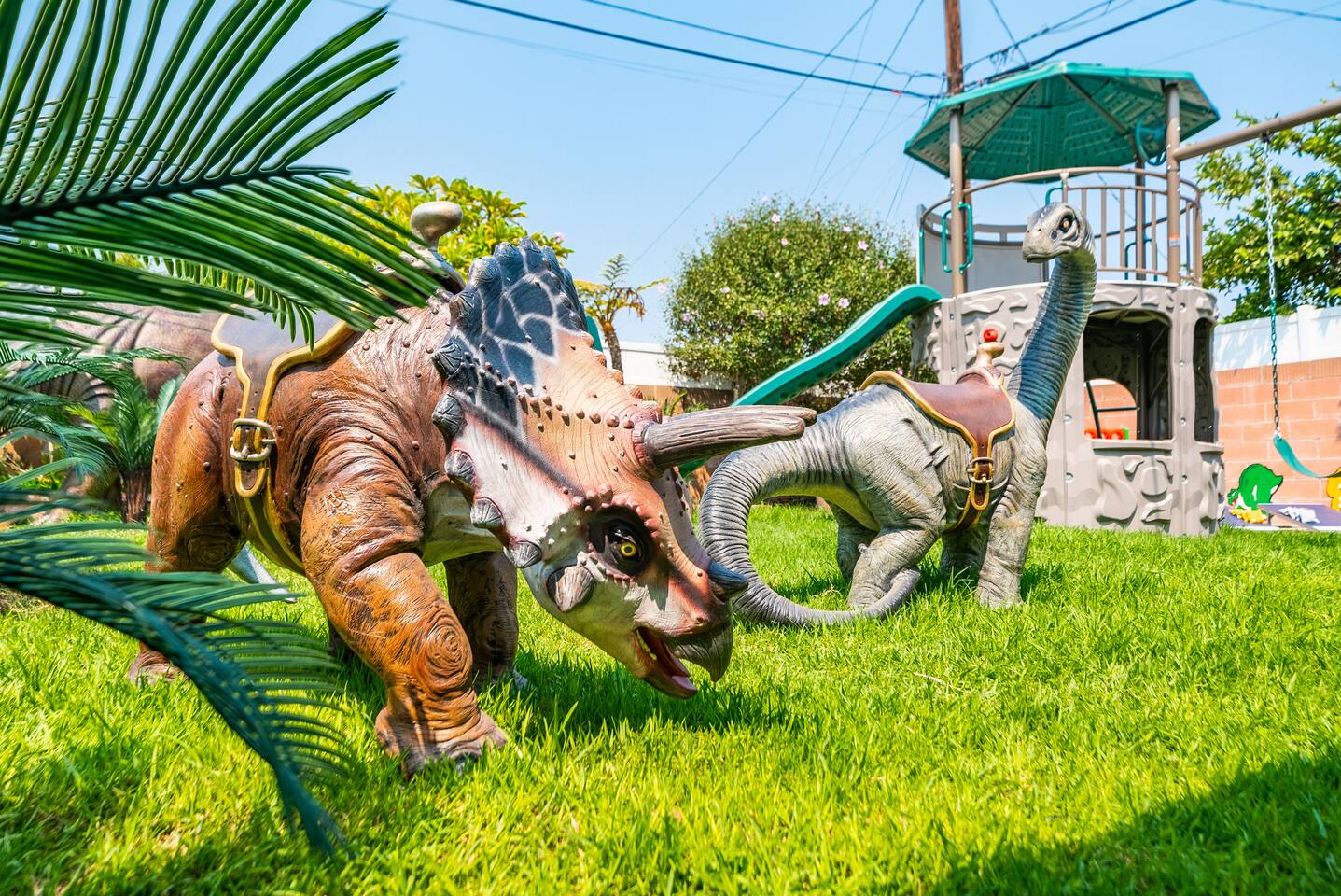 Dinosaurs roaming the backyard!