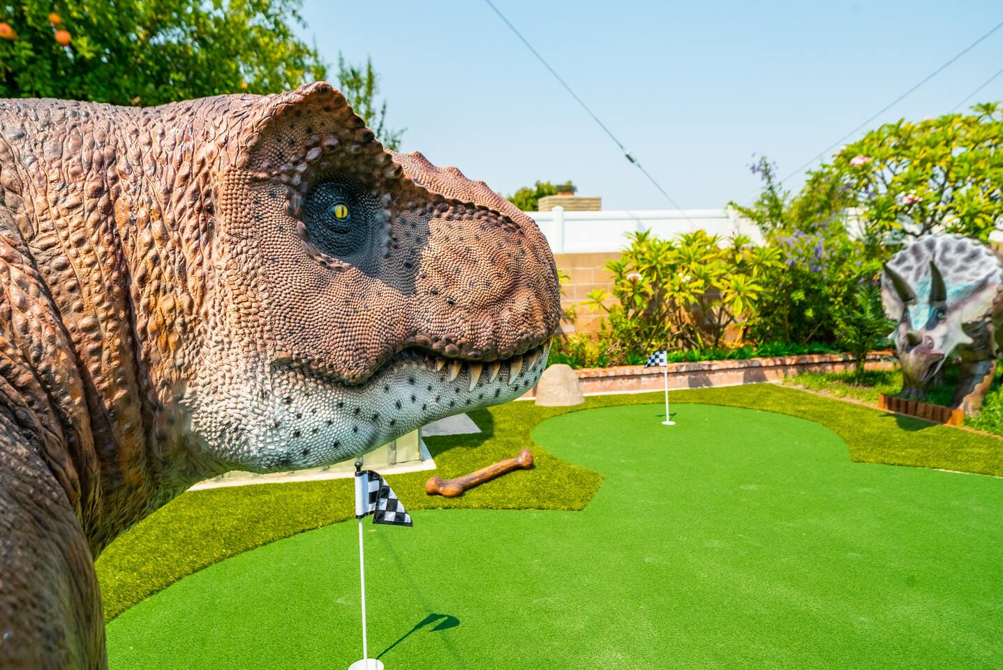 Play mini golf surrounded by Dinosaurs!