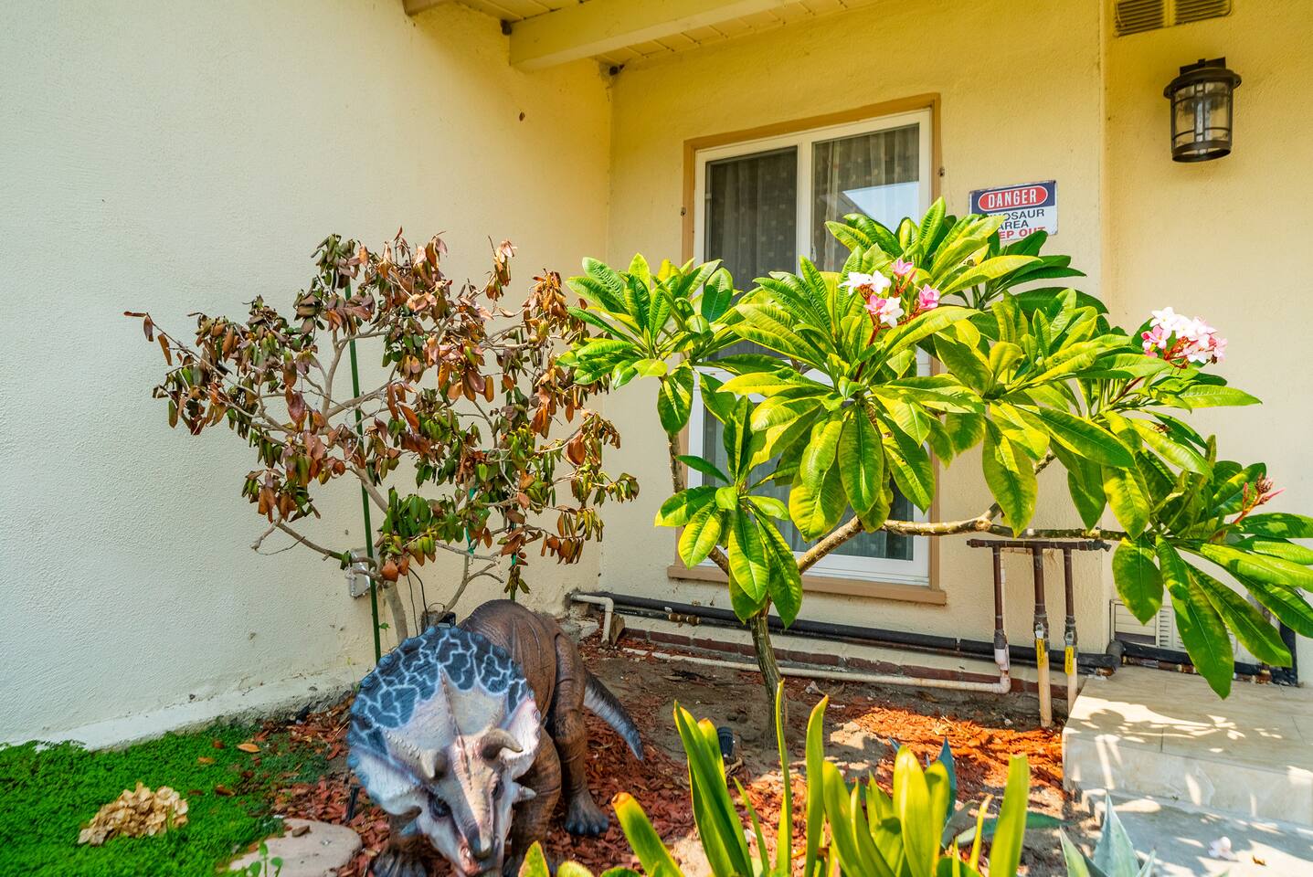 Little Dino guarding the house!